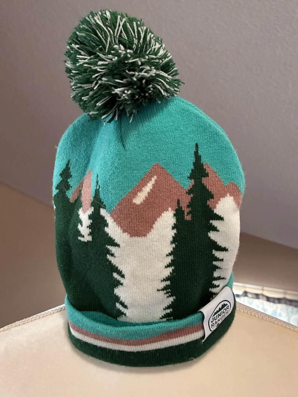 NPS Junior Ranger Mountain Scene Pom Pom Beanie in Teal & Forest Green